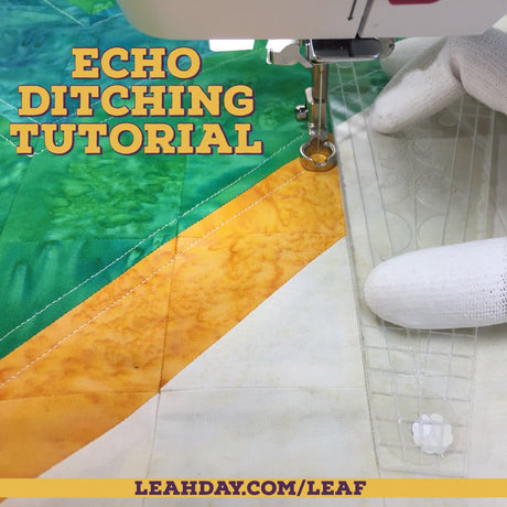 Echo Ditching Tutorial for Leaf Peepers