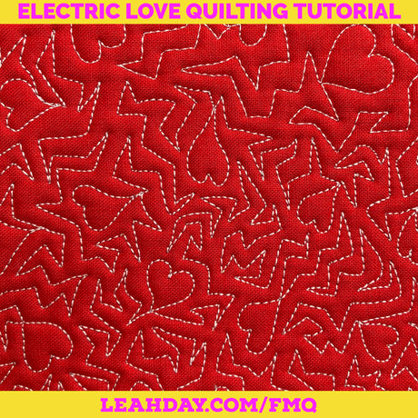 How to Free Motion Quilt Electric Love on Two Machines