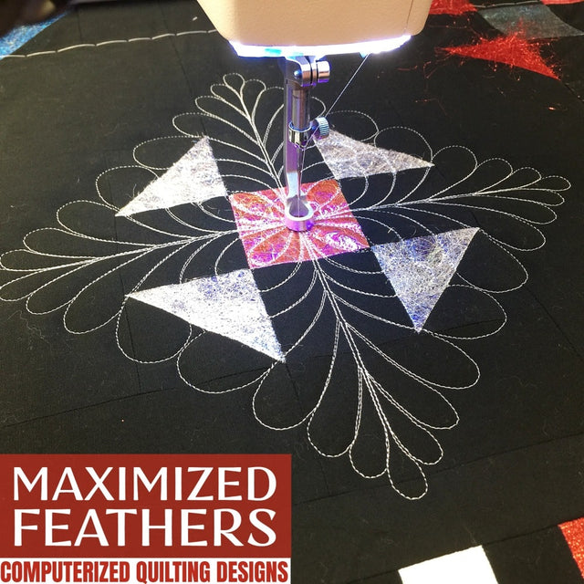 Feather Computerized Quilting Designs QCT